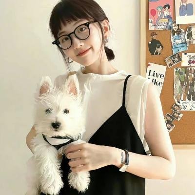 另一支梦之队